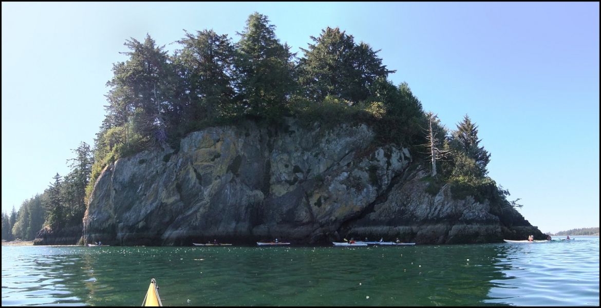 Sea Kayaking Along Islands Rich With Marine Biology in Kyuquot, BC