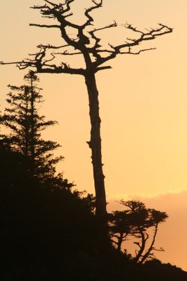 Sunset at Spring Island, British Columbia