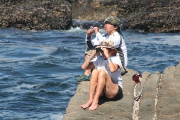 Sea Otter Viewing From Shore Near Kyuquot, Vancouver Island