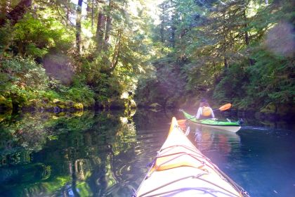image by Kat Rogers kayaking in estuary