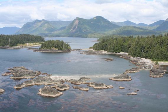 Sea Kayaking West Coast Aerial View of Barter Cove and Islets - A Kayaking Paradise