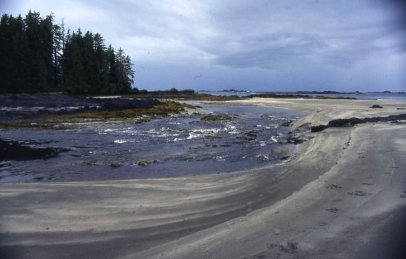 Kapoose Creek area