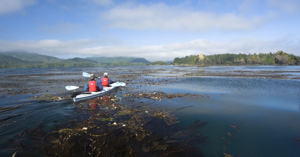 West Coast Sea Kayaking in The Broken Islands Tofino, BC