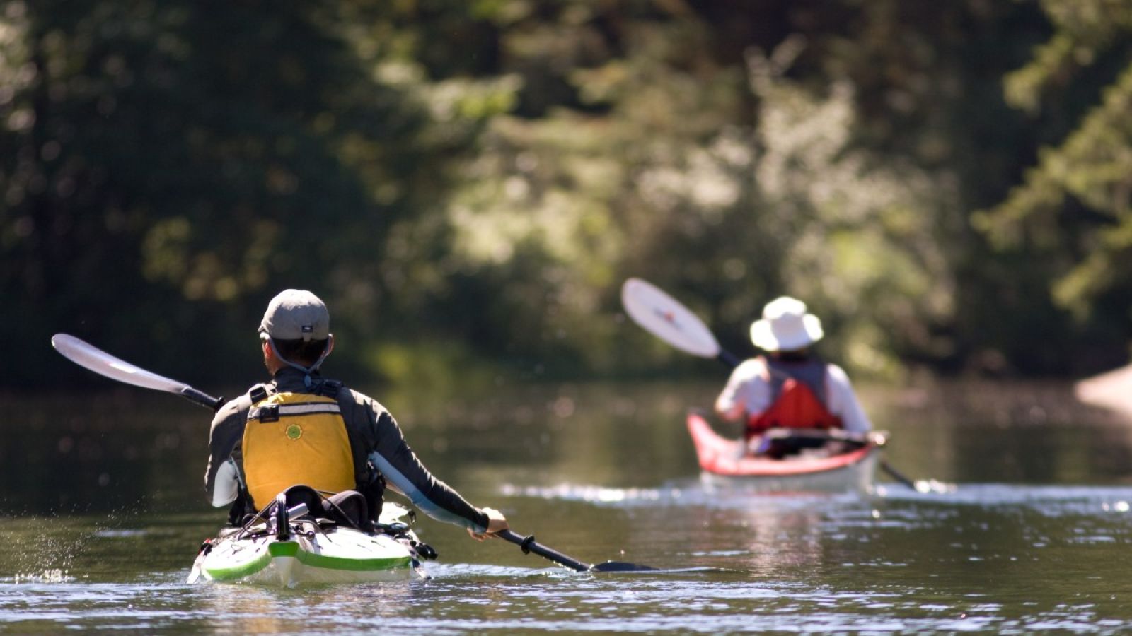 serene kayaking paddling up a river estuary in Kyuquot, BC