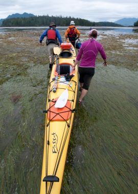 Custom Family Adventure Travel & Kayaking with West Coast Expeditions