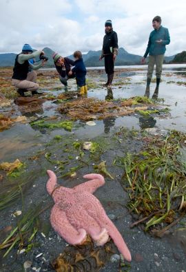 Marine Biology and Research Near Kyuquot, Vancouver Island