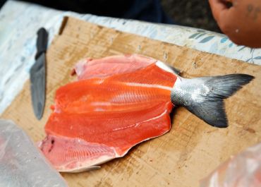 butterflied salmon being prepared for the fire