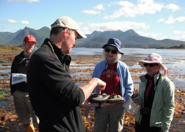 exploring intertidal life with guests