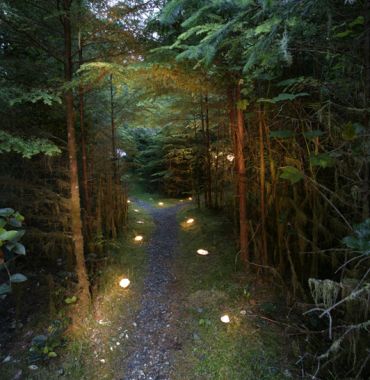 image by Boomer Jerritt West Coast Wilderness Camping, Vancouver Island Kayak Tours