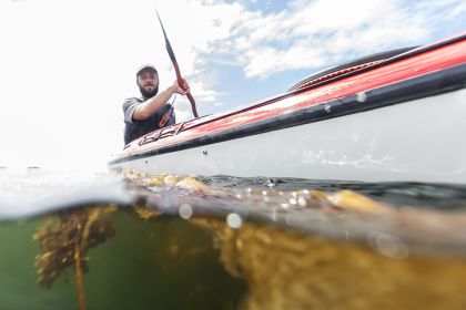 sea kayaking through a kelp forest