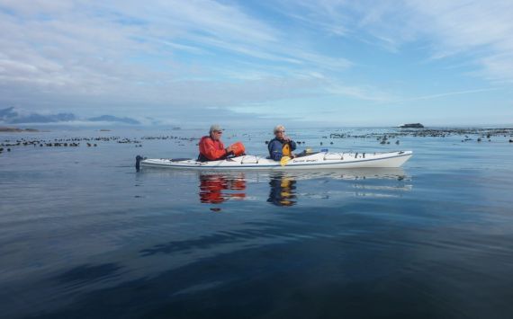 Guided Sea Kayaking Tours in the Coastal Waters of Vancouver Island