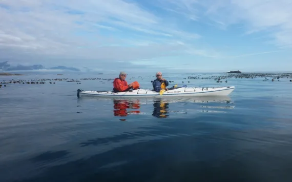 Image by John Owrid Guided Sea Kayaking Tours in the Coastal Waters of Vancouver Island