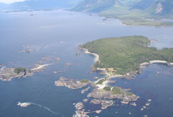 aerial view of Spring Island and Checleset Bay