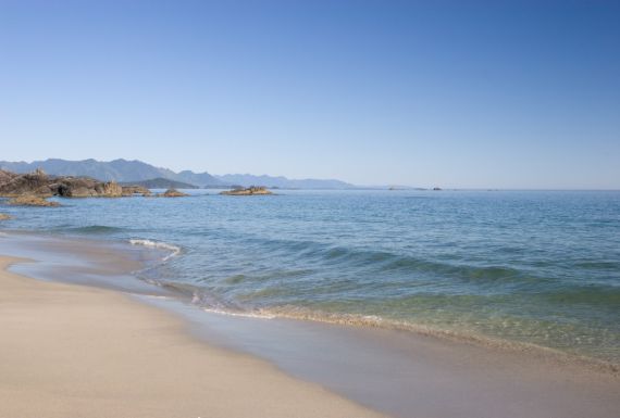 Golden Sandy Shores at Brooks Peninsula