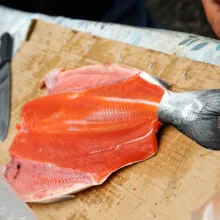 image by FEAST - An Edible Road Trip butterflied salmon being prepared for the fire